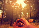 Firewatch